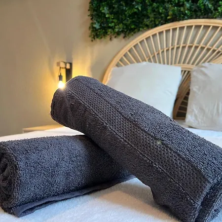 L'excellence, Joli T3 Bourgeois * Carcasona